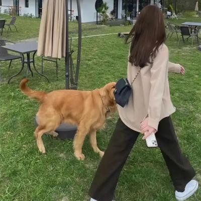 怦然心动